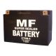 Standard Batteries - 501098H